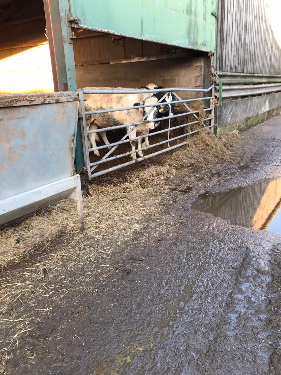 Thank you to Martin Seabright for an educational day. It has been a pleasure to support him as he helps people affected by #flood claims. He has shown real empathy with homeowners and farmers. #Proud #StormDennis