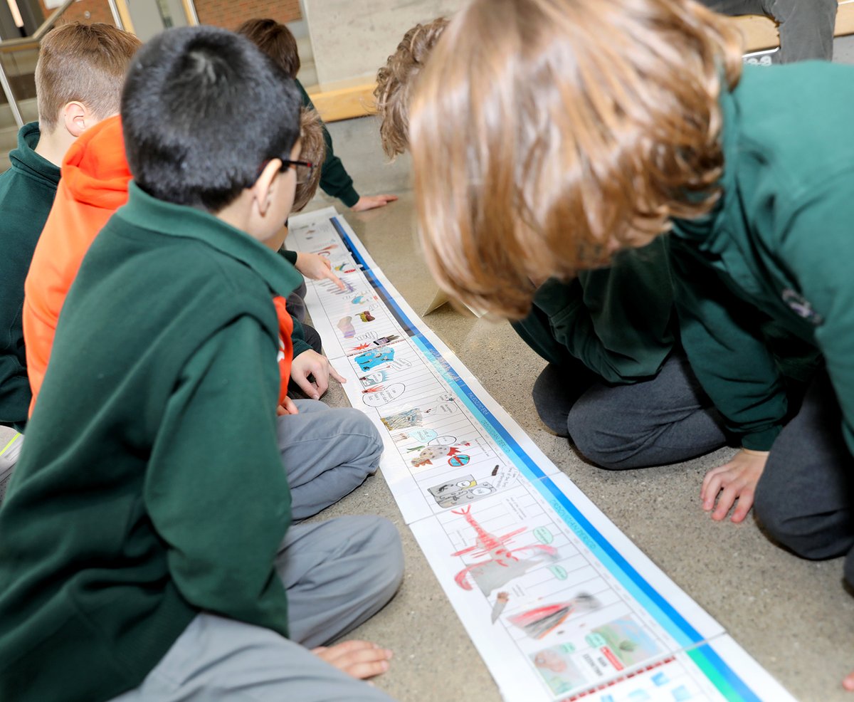 HillStrath's tweet photo. 540 Million years of life, our Montessori M8s and M9s unveiled a timeline they collaboratively created chronicling life on our planet.  #HamONT #HillStrath #HSC #HSCcommunity #montessorischool #timeline #earth https://t.co/QFOGqJvprb
