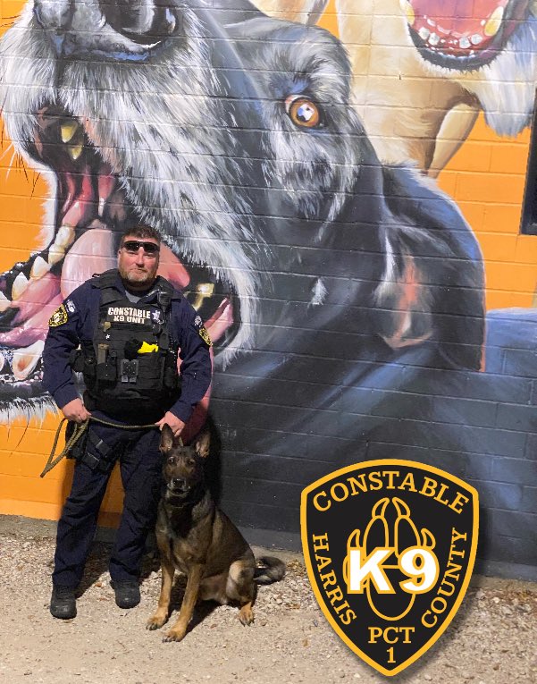 Pct1Constable's tweet photo. Today is national love your pet day! Even though our dogs are our partners in fighting crime we love them as our own pets and we form a strong bond with every K9! Happy #NationalLoveYourPetDay from Deputy Bruss and K-9 Edge! #PCT1K9unit #PCT1K9 #K9Edge #K9Unit #PoliceDogs https://t.co/6RN2rT1OcC