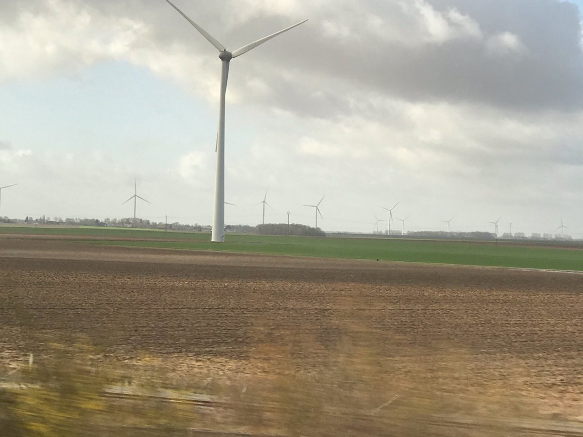 Pure Grain Network tweet media