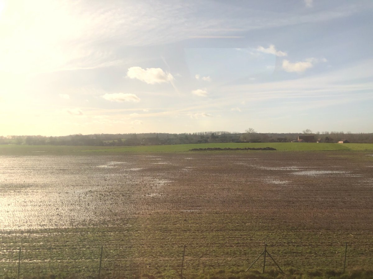 Taking the fast train from the Netherlands to France the fields may be wet but there's a lot of good looking young crop.  Next stop Reims the home of Champagne! #farming #Reims #transparency