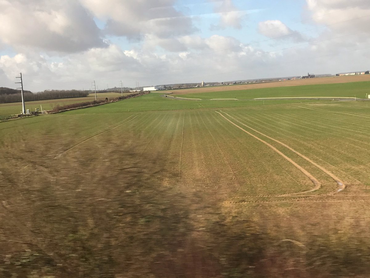 Pure Grain Network tweet media