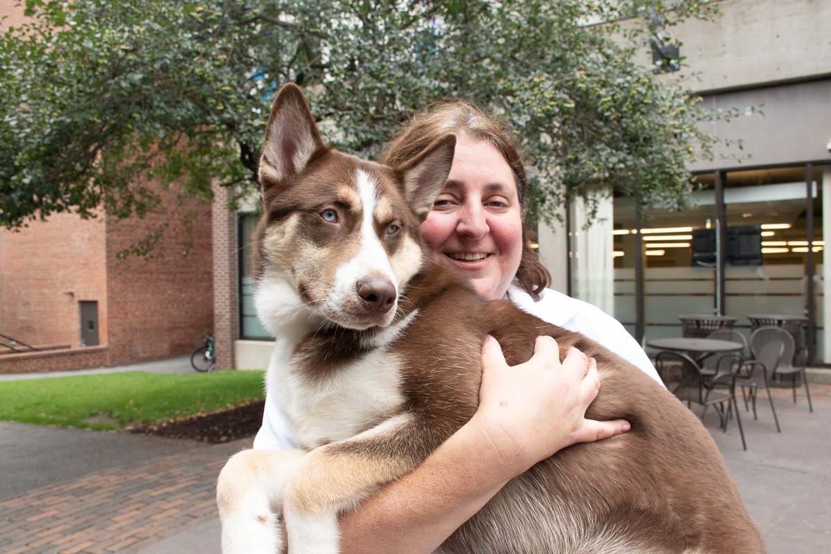 lesley_u's tweet photo. Happy #LoveYourPetDay to all of our campus superstars! 😍🐾💚
#Tally #Inky #Willow #DaiMai #Ollie #Tucker
@TherapyDogTally https://t.co/VTBhjlU8ox
