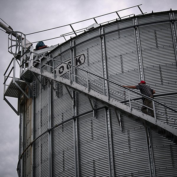 LGSeeds's tweet photo. Grain that was harvested wetter than usual (we're looking at you - 2019) can cause plugged bins. Use these tips to put safety first if you're dealing with bins that won't unload: https://t.co/ZmxgbvwbWY
#SeriousSafety #GrainBinSafetyWeek #WeMeanBusiness https://t.co/PyDHj7L8NZ