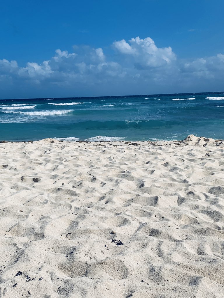 LTepolt's tweet photo. A week ago I was in Riviera Maya at the Bahia Principe Tulum...I want to go back!  #bahiaprincipetulum #bahiaprincipeakumel #whereisgeorge #couldbejorge #beachtime https://t.co/pXCGrKO3vK