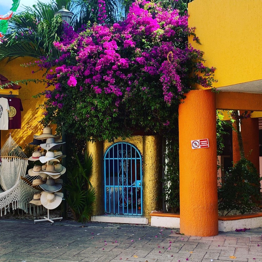 LTepolt's tweet photo. A week ago I was in Riviera Maya at the Bahia Principe Tulum...I want to go back!  #bahiaprincipetulum #bahiaprincipeakumel #whereisgeorge #couldbejorge #beachtime https://t.co/pXCGrKO3vK