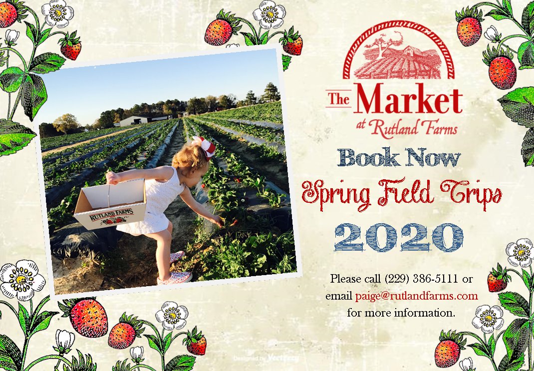 RutlandFarms's tweet image. Field Trip Season is almost here and we have just a few more dates left. Schedule your field trip today before it's too late! Who is ready to pick some Strawberries! #rutlandfarms #fieldtrip #springfieldtrip #teachers