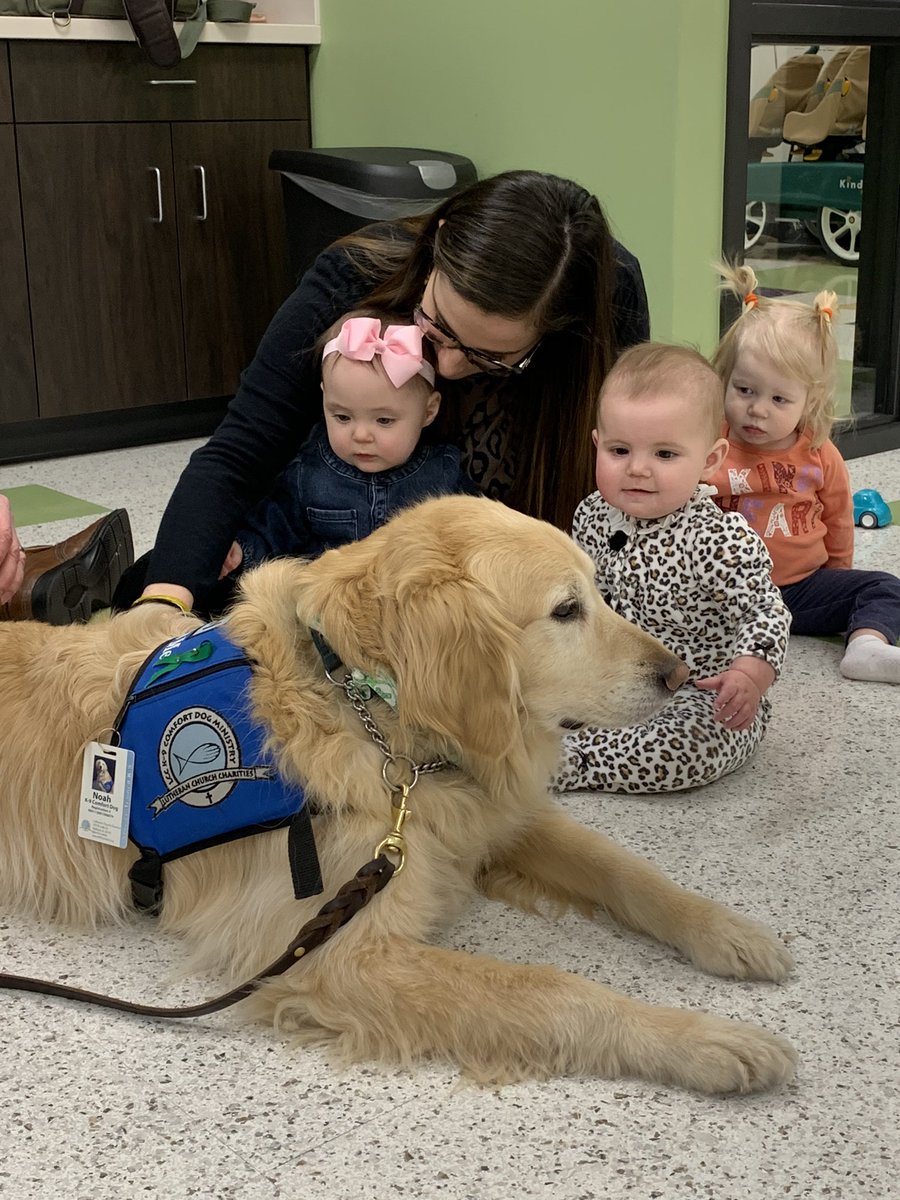 Emily Wieland tweet media