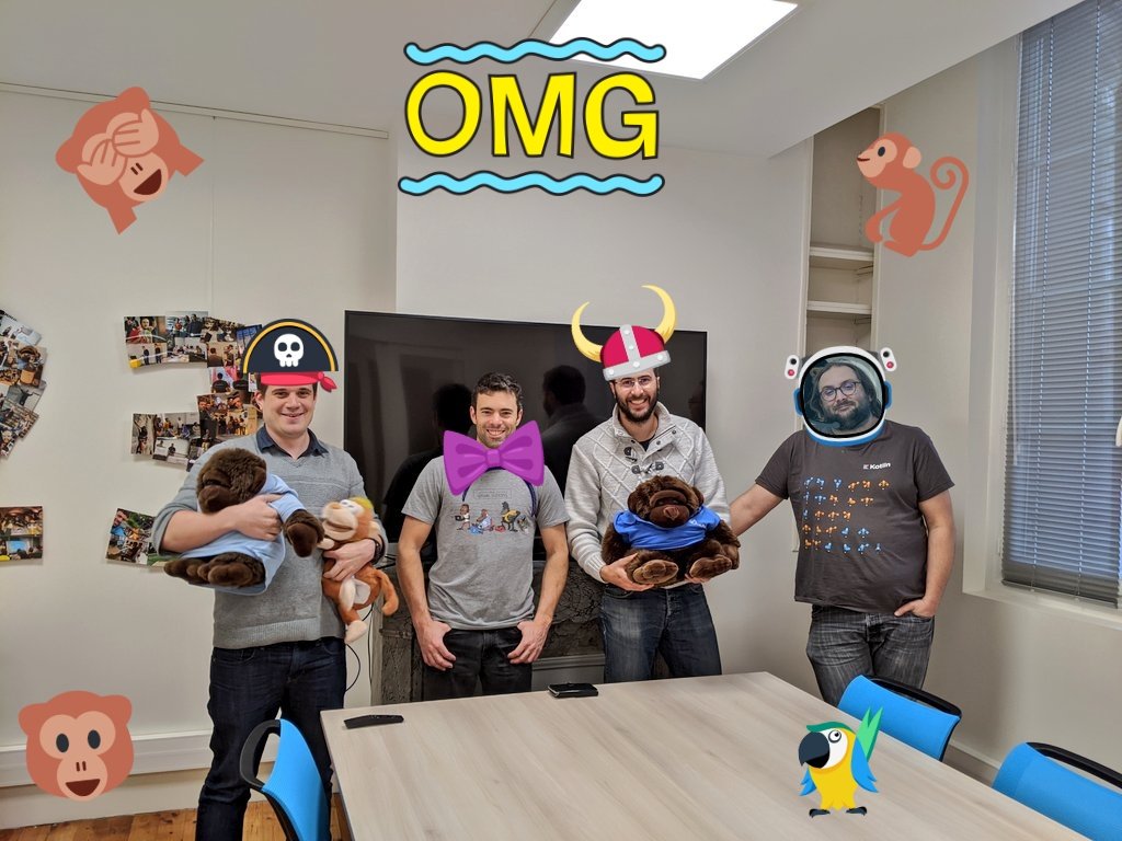 La team Sagouin (fr.wikipedia.org/wiki/Saguinus) est prête pour le concours #HashCode.