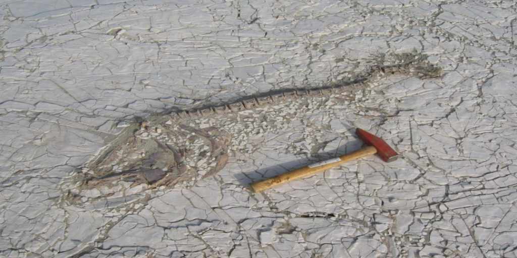 connectrue's tweet image. Sahara’s shift from savannah to desert connectrue.com/saharas-shift-…