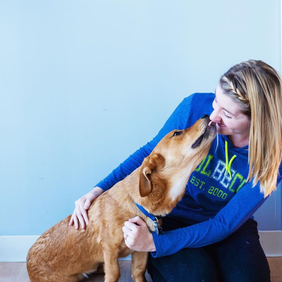 KolbeCo's tweet photo. Happy National Love Your Pet Day! We love our pets so much, we bring them to work! 🐶🐱 https://t.co/sizu3c9JIN