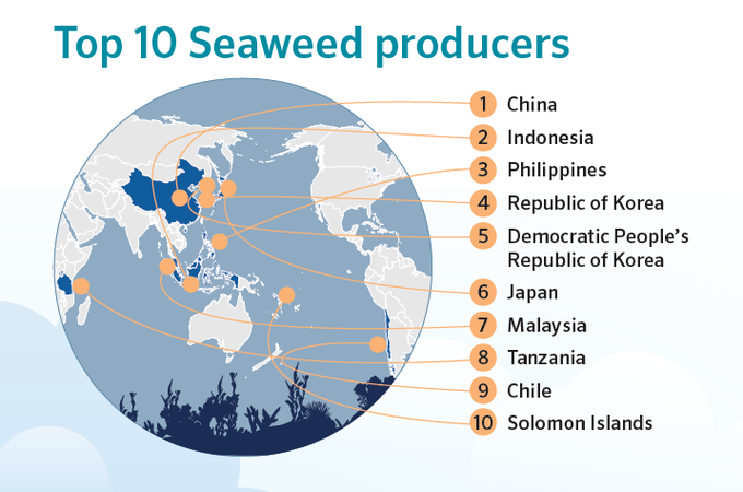 dibaqaqua's tweet photo. #DYK the world's largest #seaweed producers? Test this @FAO trivia.

Do you want to know more?  Check more data at #SOFIA2018 by @FAOfish @FAO  👉 https://t.co/I4KRzrck9Q 💙🌊💪 https://t.co/m2kazRxGKA