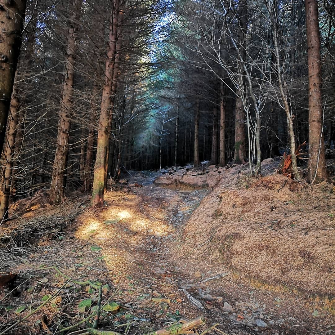 scarey13's tweet photo. Sun in the sky #coldthough https://t.co/rihj3NeRca