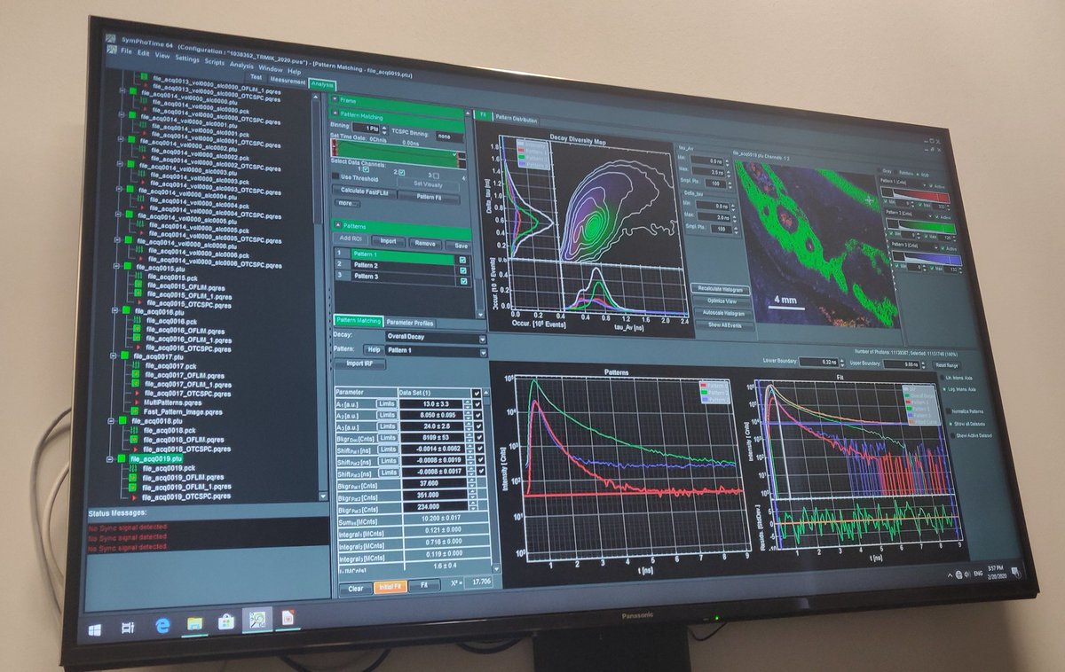 z_shadowplay's tweet photo. It's been great to be back at @PicoQuant headquarters for #TRMIC2020 with our @Scientifica_Int RGG Hyperscope and Chromacity's 1040nm laser @chromacityltd. What a pleasure being a part of this excellent course! #FLIM #2photon https://t.co/jVnuIpE5c9 https://t.co/YKkl2UwQxF