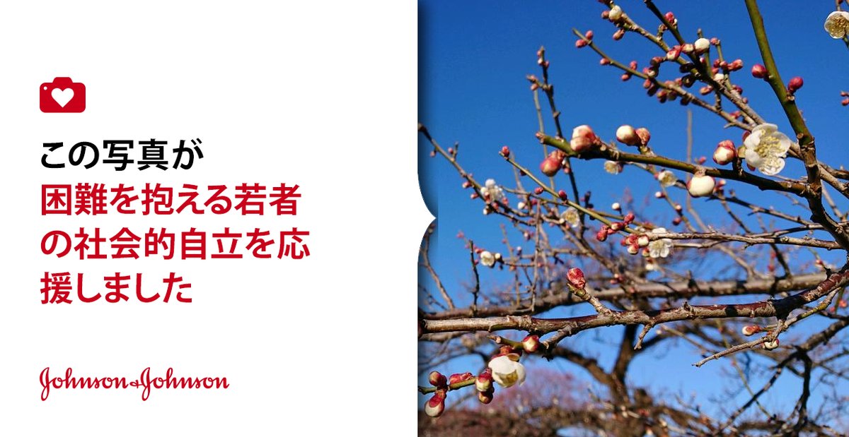 minojinska's tweet photo. #ogose #bairin #ume #omatsuri #earlyspring #camera #park #jnj @donateaphoto https://t.co/eCZE2h3V98 https://t.co/VMWip5fsId