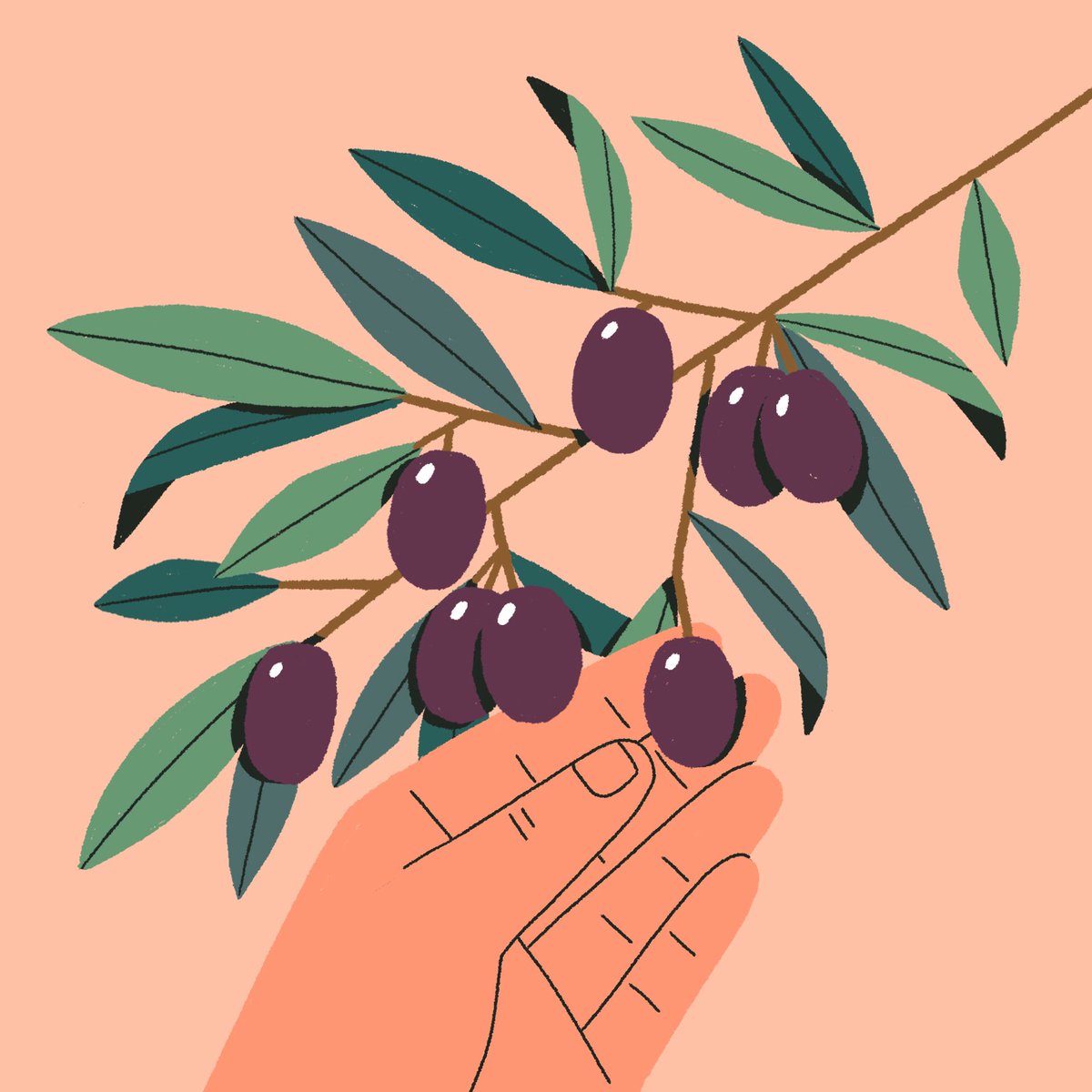 I used to be picky about olives but now they’re growing on me...;) see what I did there?