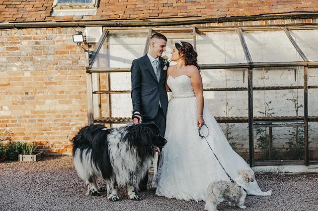 Happy national love your pet day to all of our furry friends, big and small! 
We always love meeting your fur babies on wedding days and hope to see many more this year! 🐶💛 ift.tt/2HSLjLL