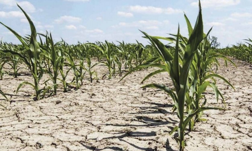 Have you taken the Department and <a href="/giz_gmbh/">GIZ</a>'s @saclimatesurvey? The #ClimateChange awareness survey is now available in all our official languages. Find your language and have your say 📢 #ClimateChangeIsReal 
bit.ly/SAClimateChang…