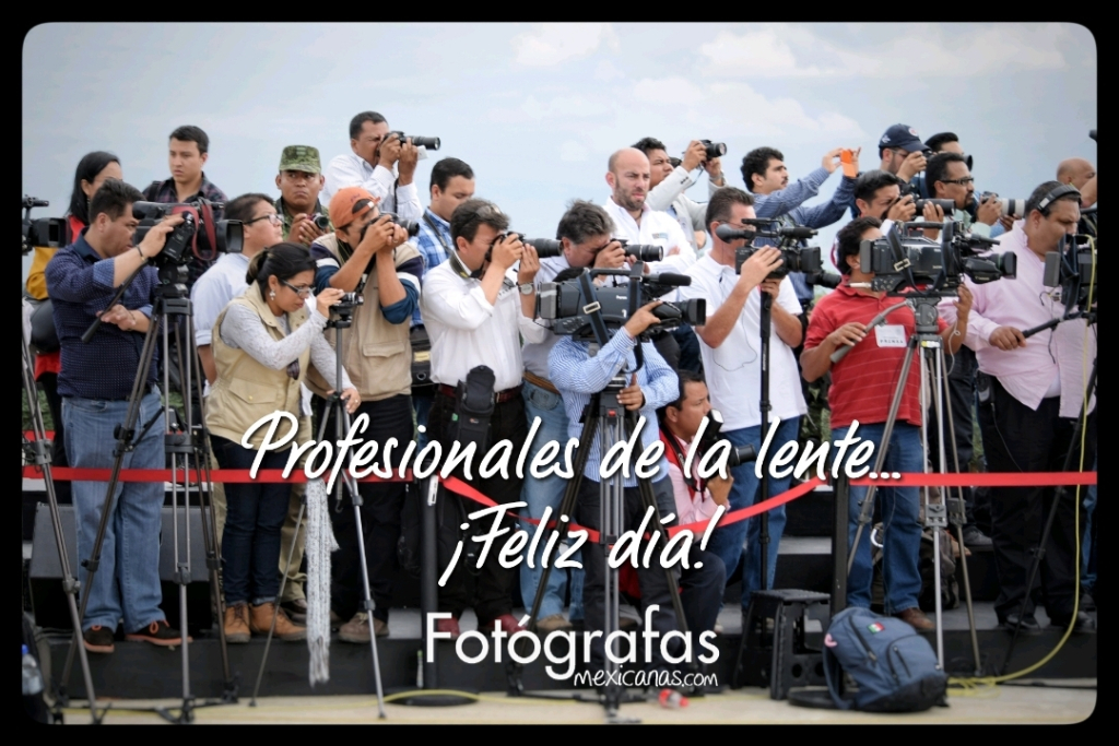 fotografasmex's tweet photo. ¿En que se parecen los camarografos, fotógrafos y los gatos? https://t.co/G8h66EFkIE https://t.co/wgV9Y5KeTJ