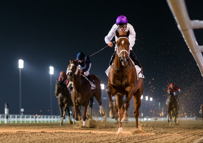 RacingDubai's tweet photo. MIDNIGHT SANDS wins his 5th consecutive race for Doug Watson #RedStables and @CoolSilkRacing, getting the 1400m in a swift 1:23.79 (.72 off course record). https://t.co/gUoICshC2M