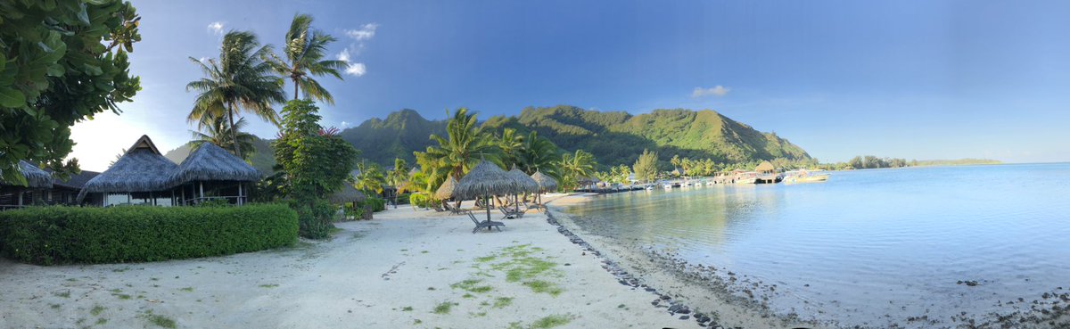 AviationDeb's tweet photo. Beautiful Moorea https://t.co/VpDoOFxnB3
