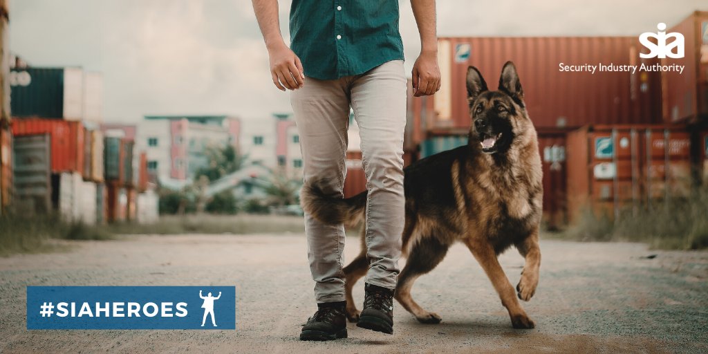 Read about how a door supervisor in Norwich bravely leapt into action, while walking his dog, using a wooden post to try and fend off two men who were trying to steal a bag from a man they had attacked and threatened to stab: bit.ly/3bMElWe #SIAHeroes SIALocal
