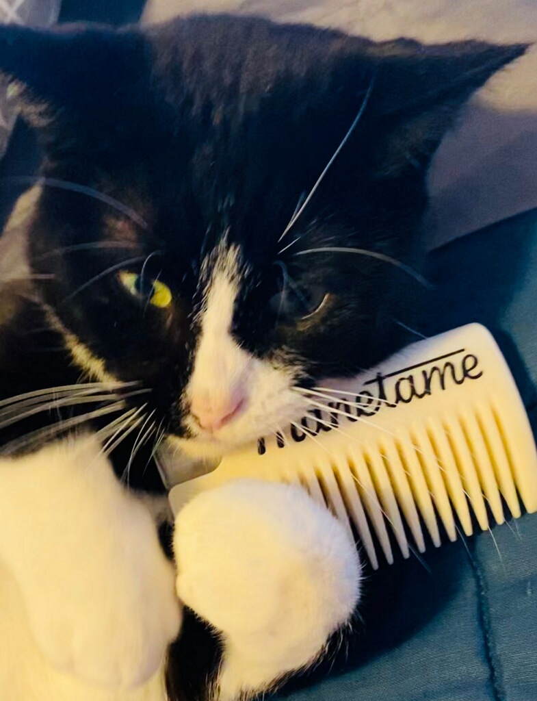 In honor of #LoveYourPetDay, here's Paul's cat.