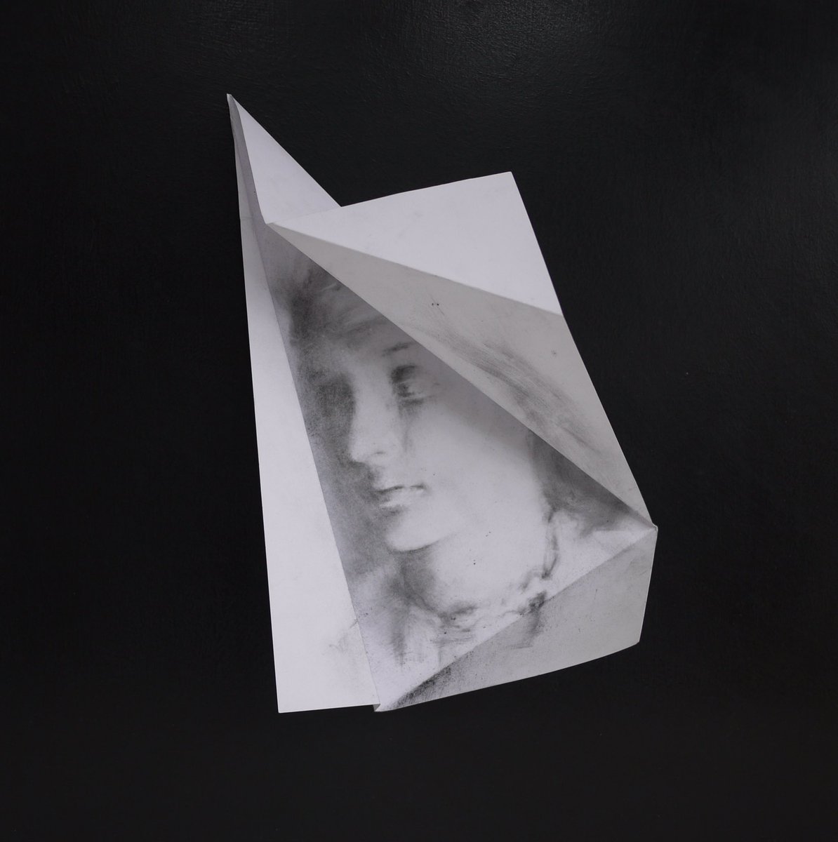 caragh_savage's tweet image. Better documenting photos of this piece from 2017.
#afterjulia VIII #foldedface #subjectobject #portrait #charcoal #drawing #specimen #facecollector