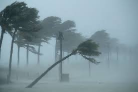 MorSchGk's tweet photo. Check out this weeks @Gaelic_Life article focusing on playing in adverse weather conditions, inspired by the recent back to back Storms Ciara &amp; Dennis.. some great advice for all!!

#MSoG11 #TrainingZone https://t.co/eg1OjyRh9A