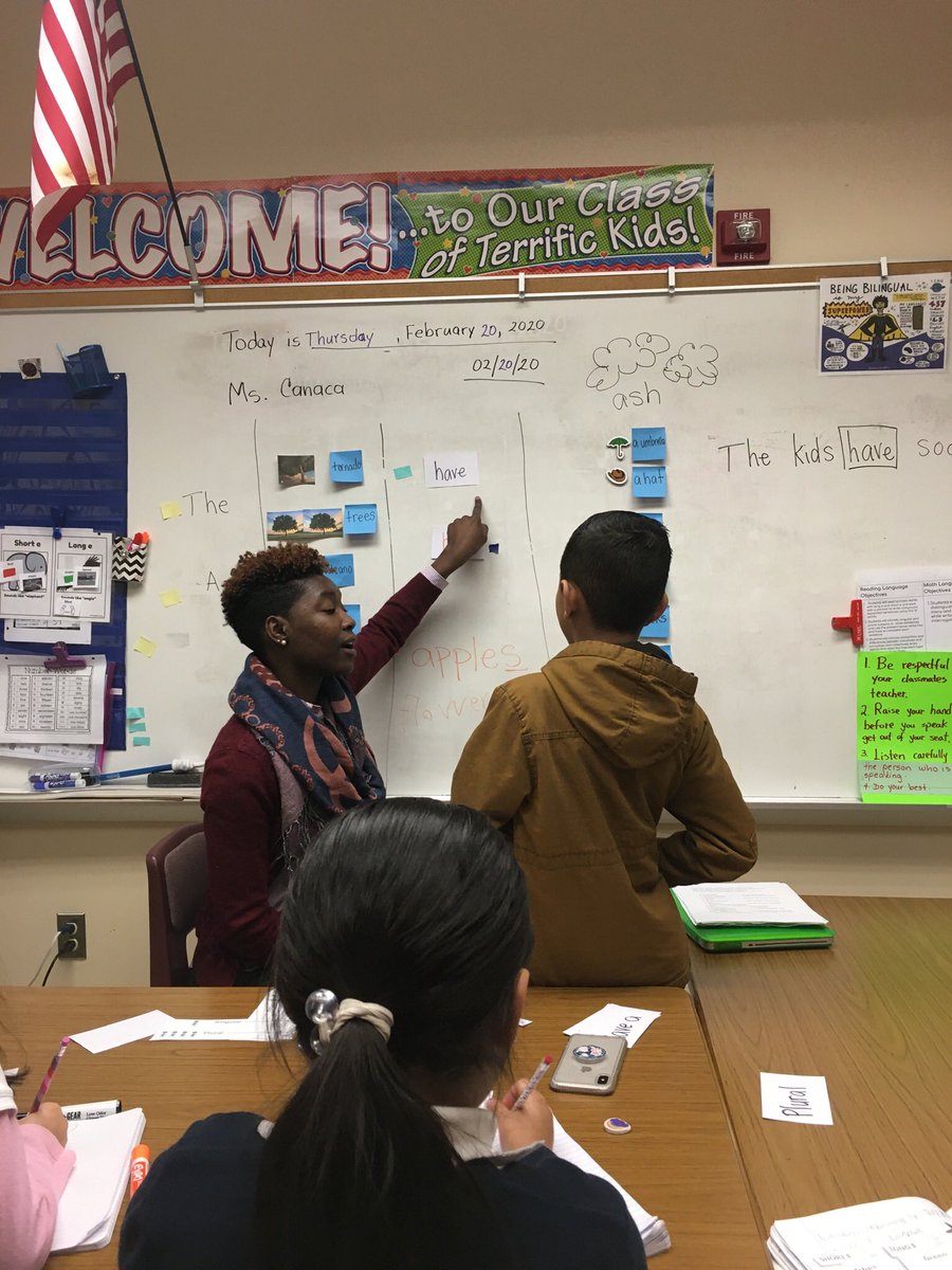 A. Person, ESOL Mentor Teacher tweet media