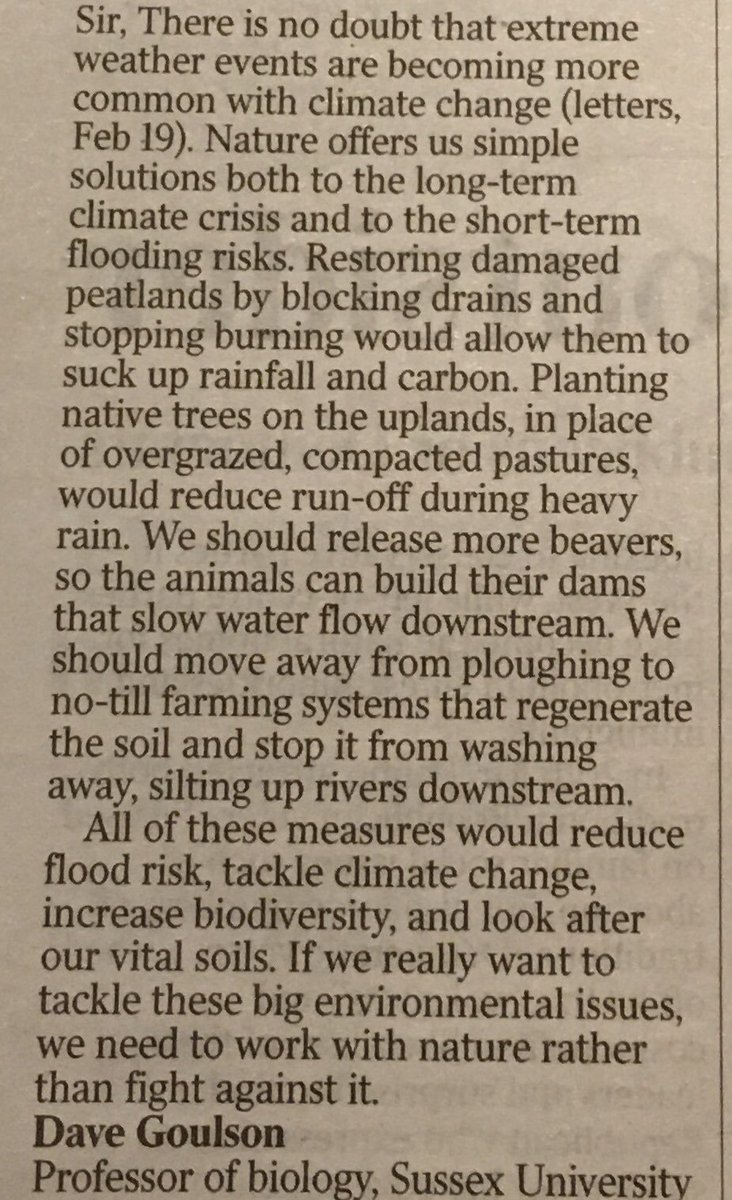 Time to work with nature to prevent flooding? Letter to the Times published today: