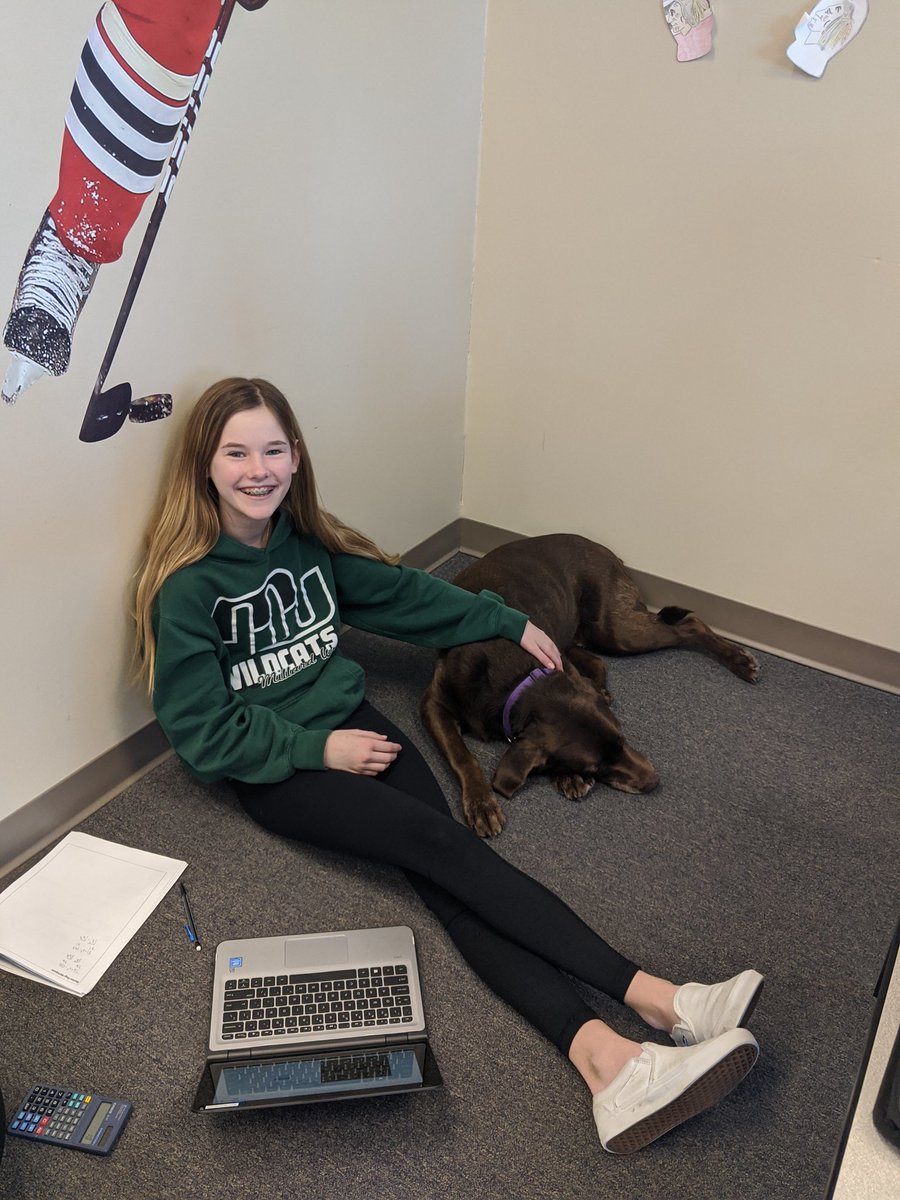 MacyFleming09's tweet photo. Pythagorean Therom + Desmos + Macy = Best Day Ever  #rufflife 🐾 #mathisthepath @NoonanBMS @MPS_Beadle @MillardPS https://t.co/rkwl5N9JfB