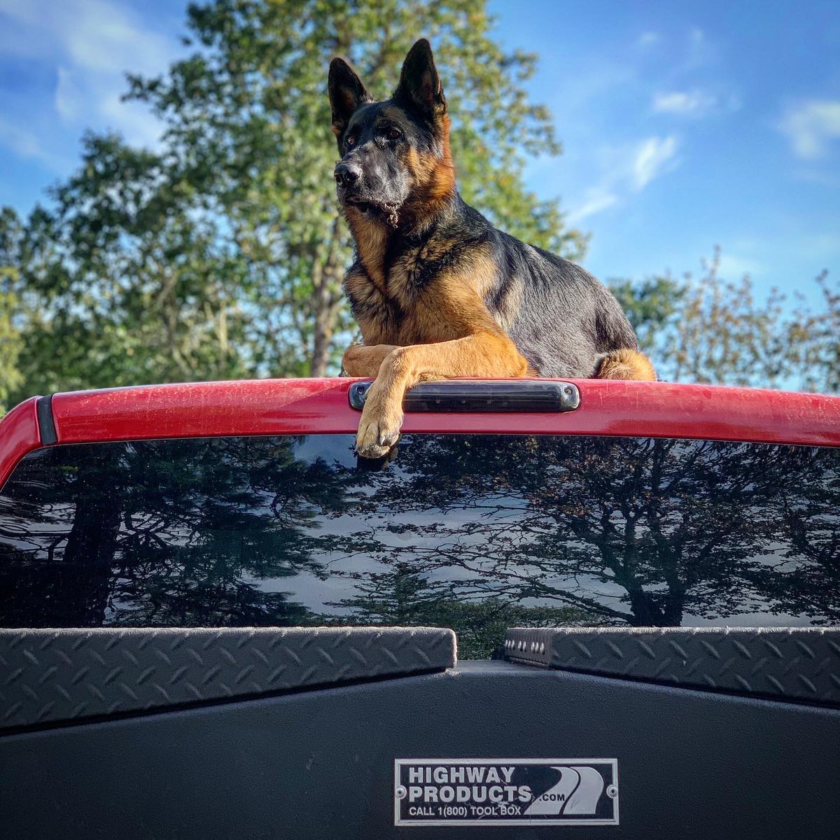 📷 by @ocks_general: It's National Love Your Pet Day!