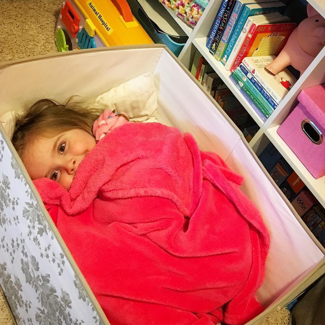 HappyFunTime_'s tweet photo. Found this thing upstairs trying to sneak in a nap so she can disturb @WarInsideMe's naptime schedule. Don't worry, I shook her box awake (angsty handle, much? wut r u 13 bro?) https://t.co/QnndRPPK0W