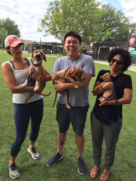 GammaIotaSigma's tweet photo. Happy #LoveYourPetDay! Between our staff, we have 5 pets that we love dearly! We also are incredibly passionate about our 5,000+ #studentleaders, our generous #SustainingPartners, and the future of our amazing industry!
#GammaIS #TalentPipeline #InsuranceCareersMonth #Family https://t.co/4lp3QKlK9T