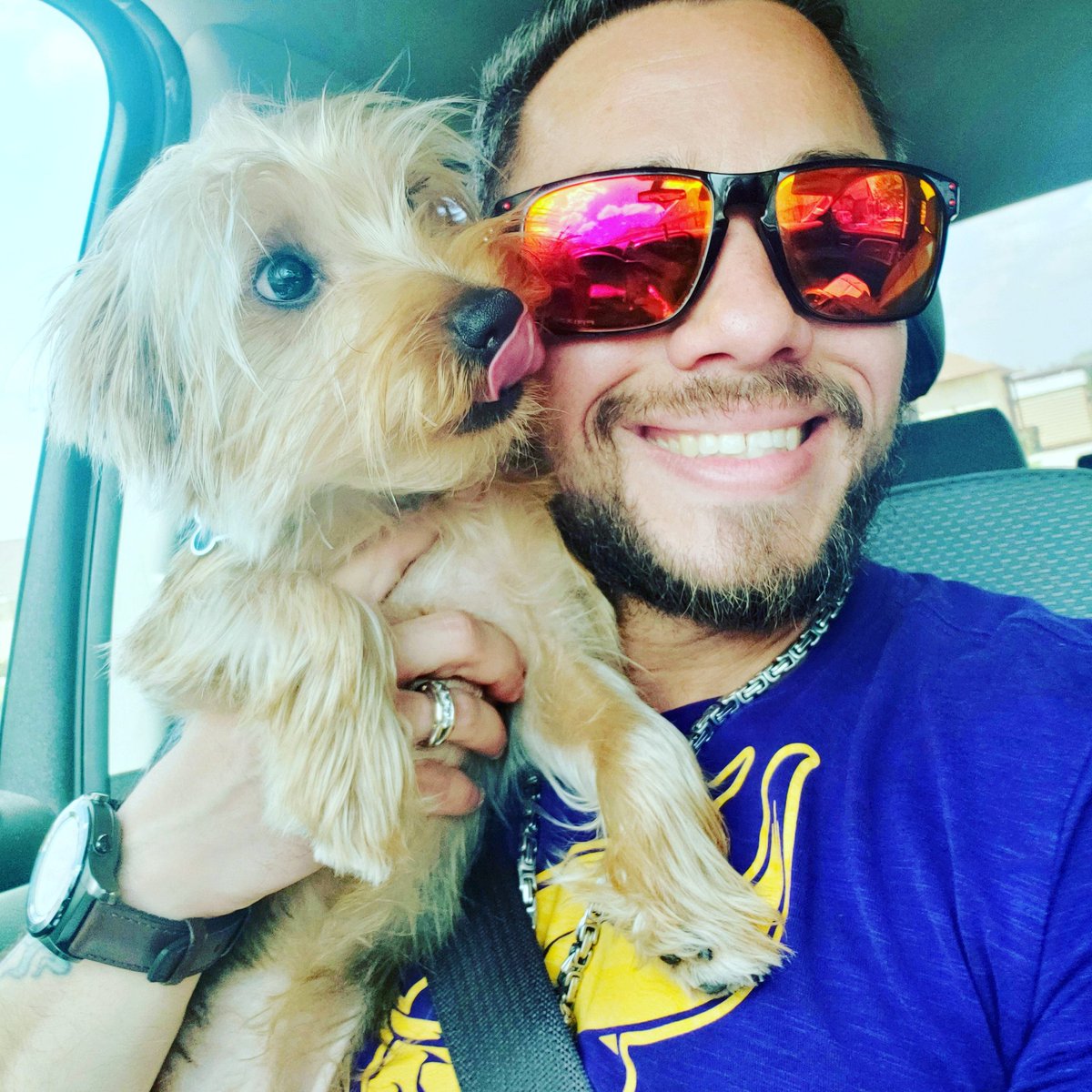 StellarMania311's tweet photo. Winston says hi! @BMS_Billy #YorkiesRule #BMS https://t.co/8XZACnba2W