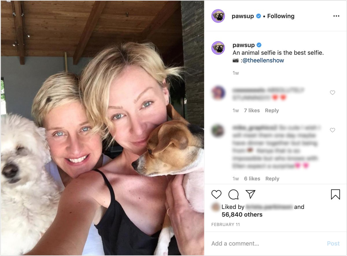 Ellen DeGeneres on Twitter: "Happy #LoveYourPetDay! I love my pets so much,  I created an Instagram account for them. https://t.co/cMm8NGJgh6" / Twitter