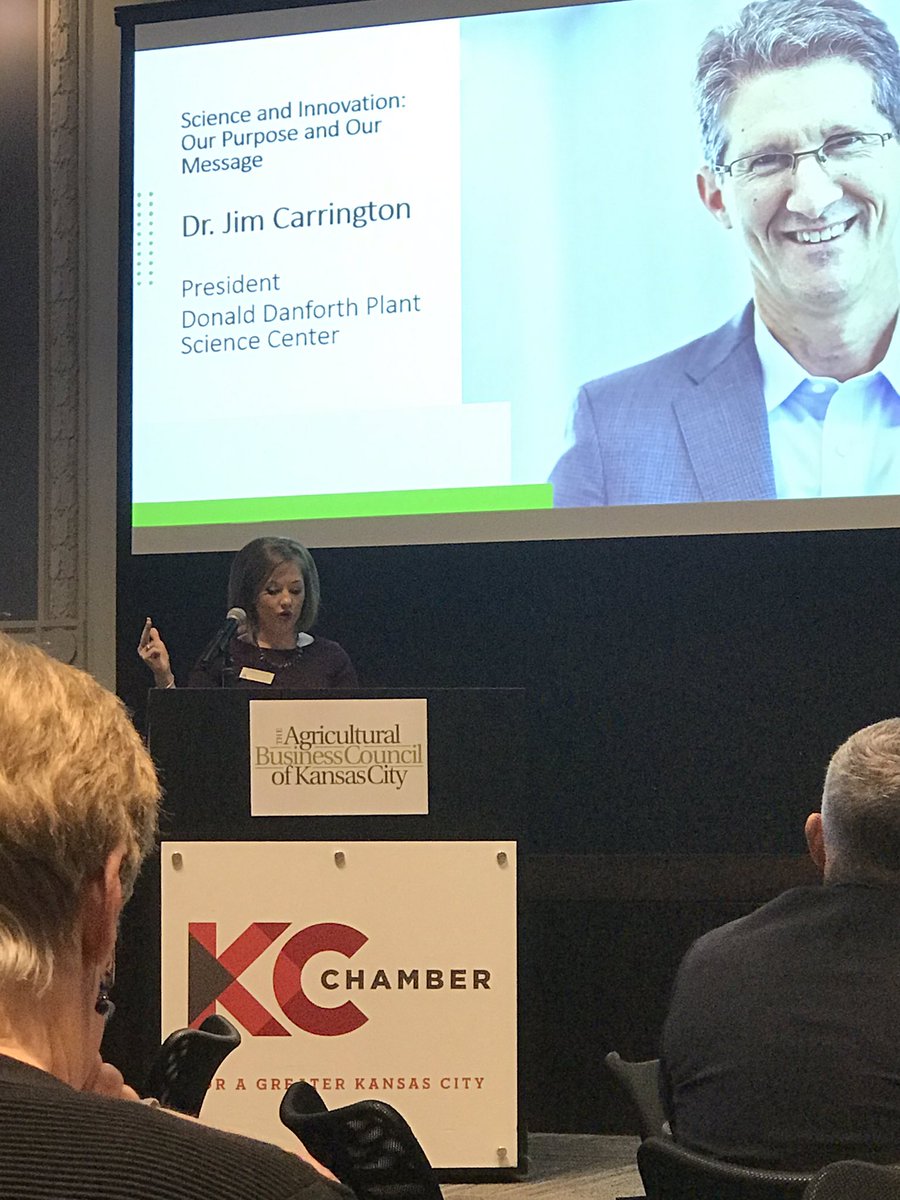 Michelle E. Murray tweet media