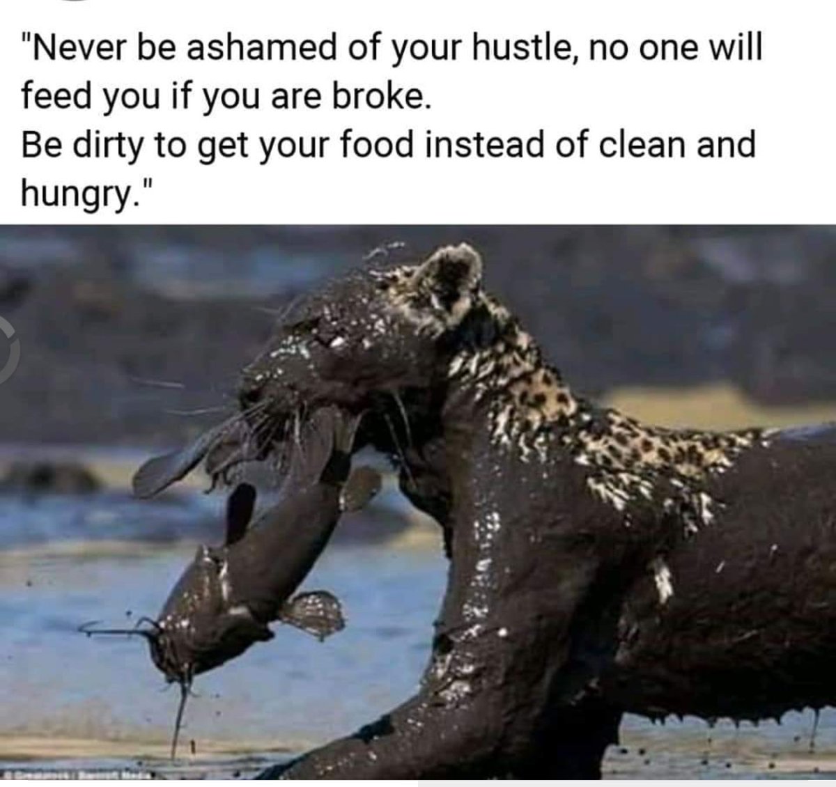 abbeylencon's tweet photo. If it's worth doing, it's worth doing well. https://t.co/Am2qmIisbA