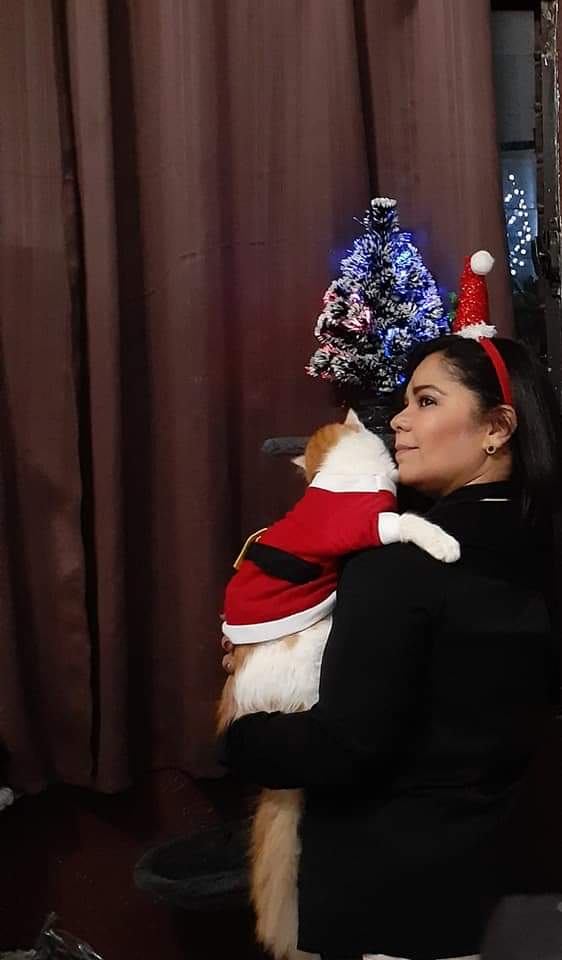JuliaAbogata's tweet photo. #DiaInternacionalDelGato el gran amor de mi vida. Me convertiste en un mejor ser humano y me enseñaste que todo cada segundo del mundo junto a ti, vale la pena y por eso soy feliz. Te amo #Manekey eres mi universo! https://t.co/LcuFVT8uQI