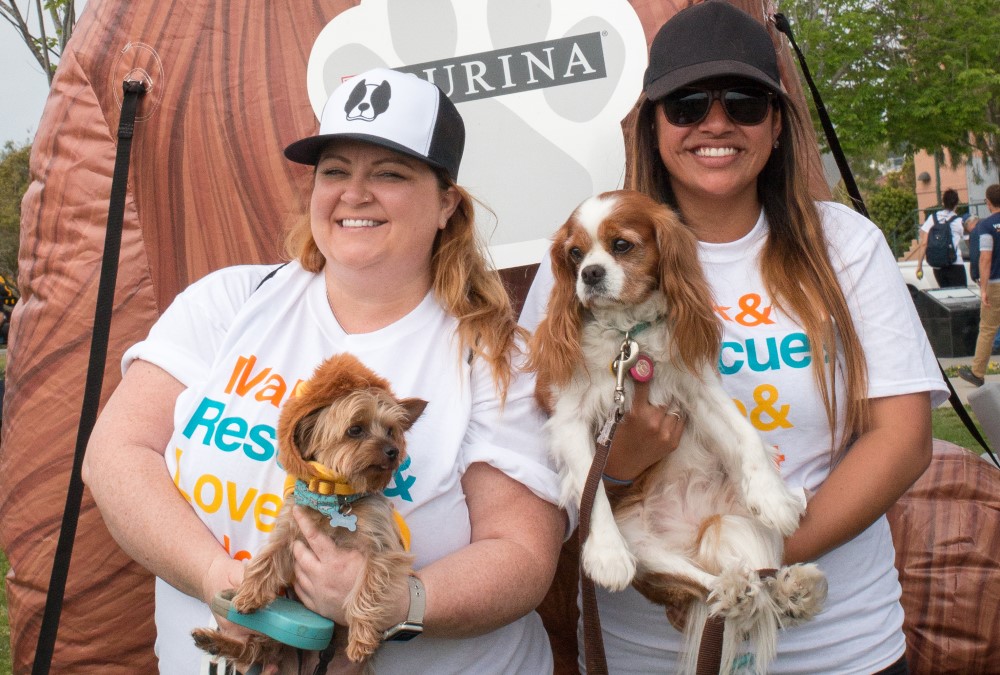 Fun Things To Do in San Diego This Weekend! tinyurl.com/sqmslmr
#havemorefun #fuelyourweekends #justmyticket #weekend #fun #socal #sandiego