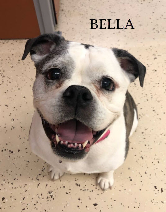 OMEGAProcessing's tweet photo. Today is National Love Your Pet Day and it's safe to say that we have some pretty cute OMEGA Pets! #nationalloveyourpetday https://t.co/xO1n6wbTJ0