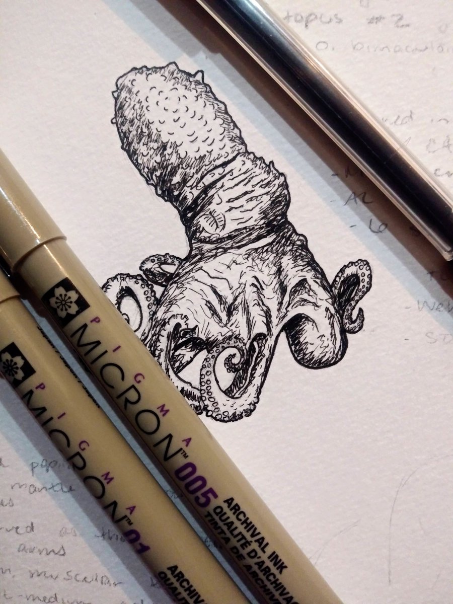 Bridget Vincent tweet media