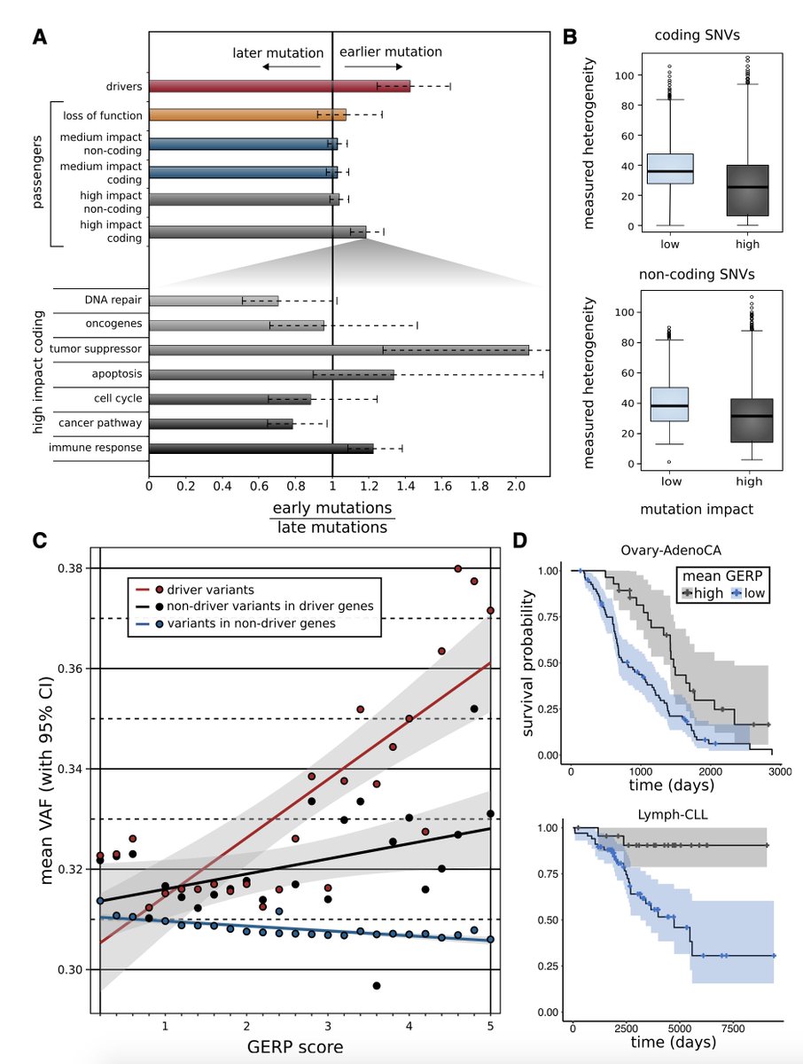 EricTopol's tweet photo. Passenger mutations in #cancer never get enough attention. But @MarkGerstein and colleagues @Yale @YaleMed zoomed in on >2500 of them and showed it's not a 0|1 story. They didn't use "back-seat driver" terminology but characterize many intermediates
https://t.co/VyIXCDdYD9 https://t.co/SNKBU6xTYM