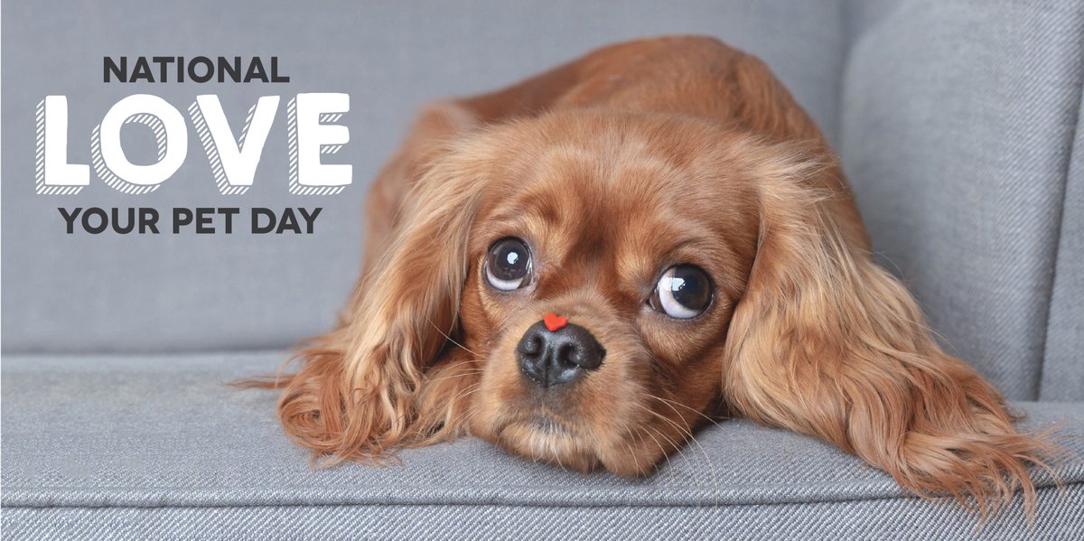 HISDBenefits tweet media