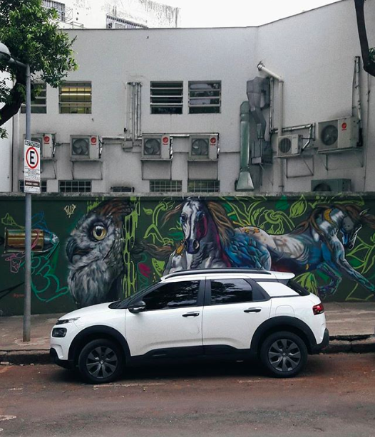 C4 Cactus en een teken aan de wand.