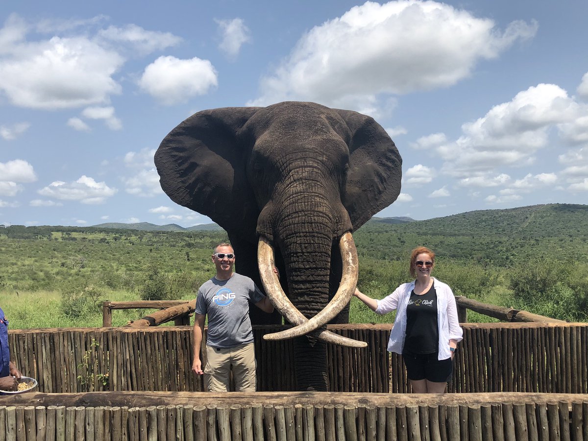 Brian Gabrush tweet media