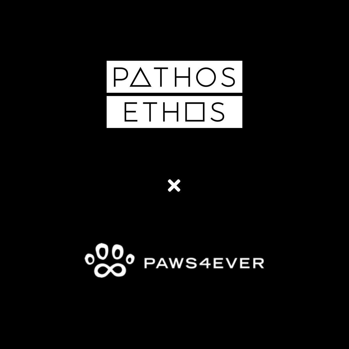 Last year, we had the chance to redesign the Paws4ever website! While we love every client that we work with, getting to look at these four legged friends all day during design and development was extra exciting.⁣
