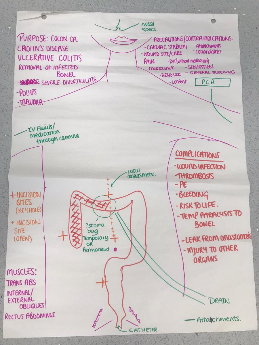PhysioSocUoL's tweet photo. Great day learning about advancing CVR Assessment and management of the surgical patient and management of paediatrics. Even more impressed with the drawing skills https://t.co/yGvSnK6ETU