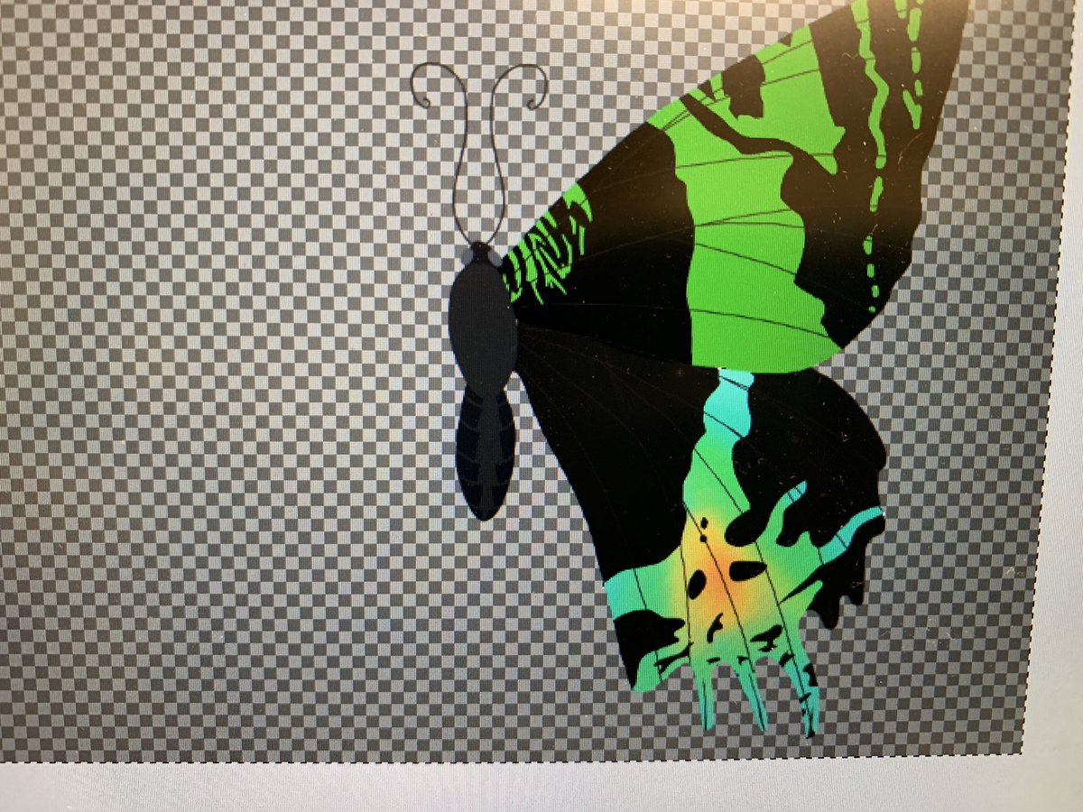 AlexMcGoran's tweet photo. Also started working on this beautiful Madigascan #SunsetMoth! Just look at all the colours; great fo look at, harder to draw. #sciart #digitalart #graphicdesign #illustration #moth #butterfly #madagascar https://t.co/ZejeSU6tla